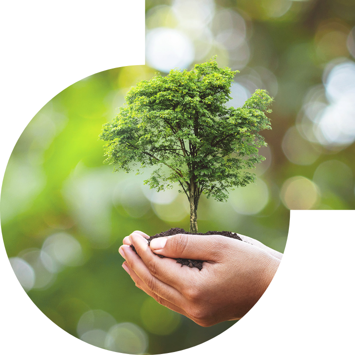 关怀人类、文化、环境与社会